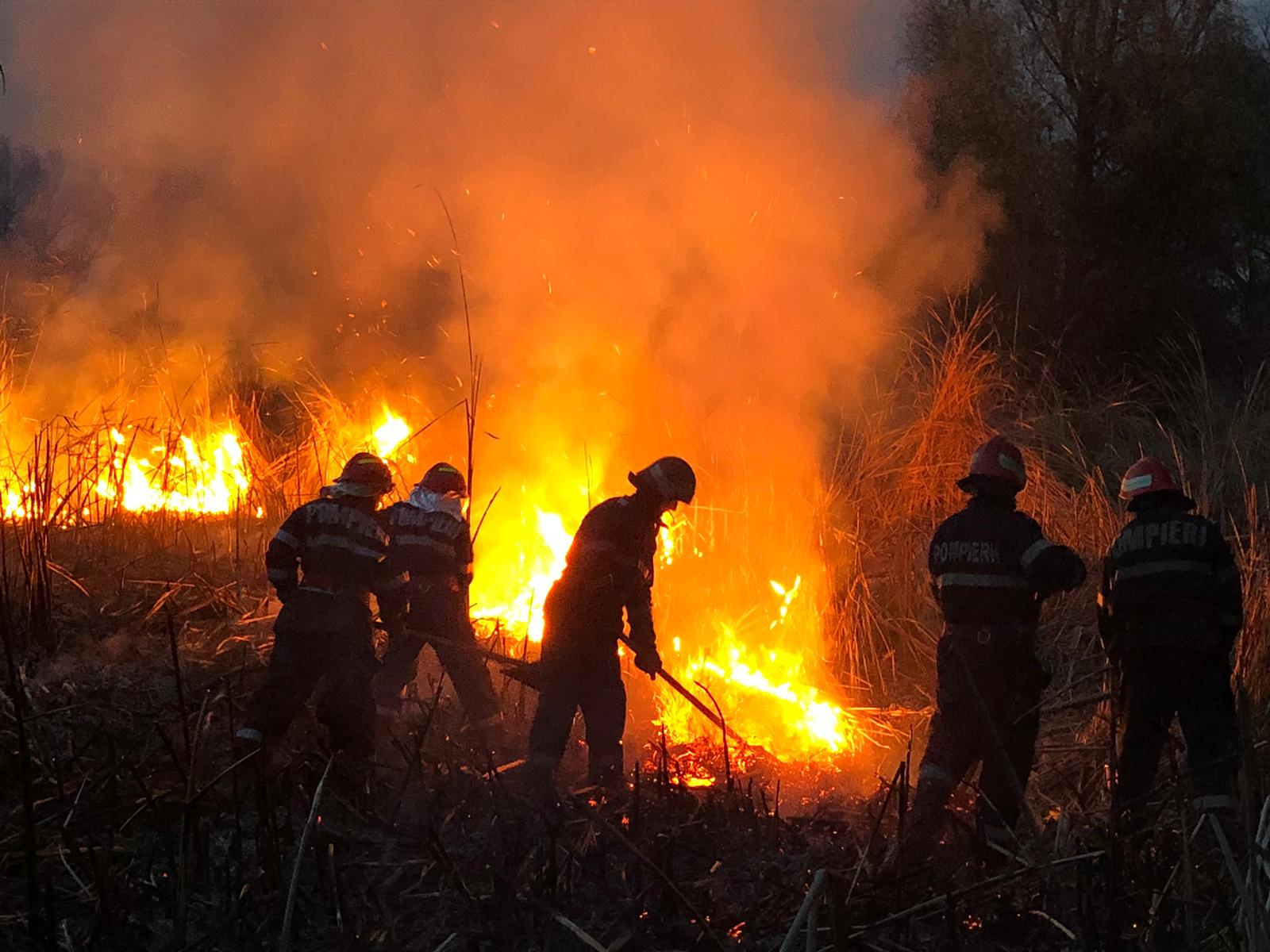 Județul TULCEA: Pompierii au intervenit pentru stingerea unui incendiu la vegetația uscată – FOTO/VIDEO