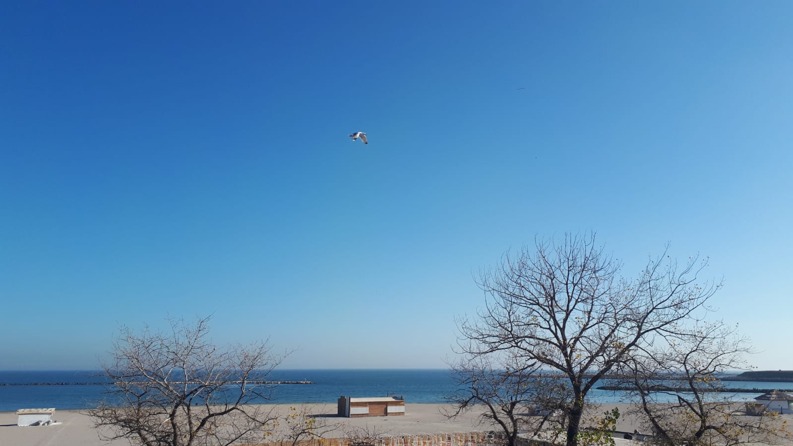 Vreme caldă în Dobrogea