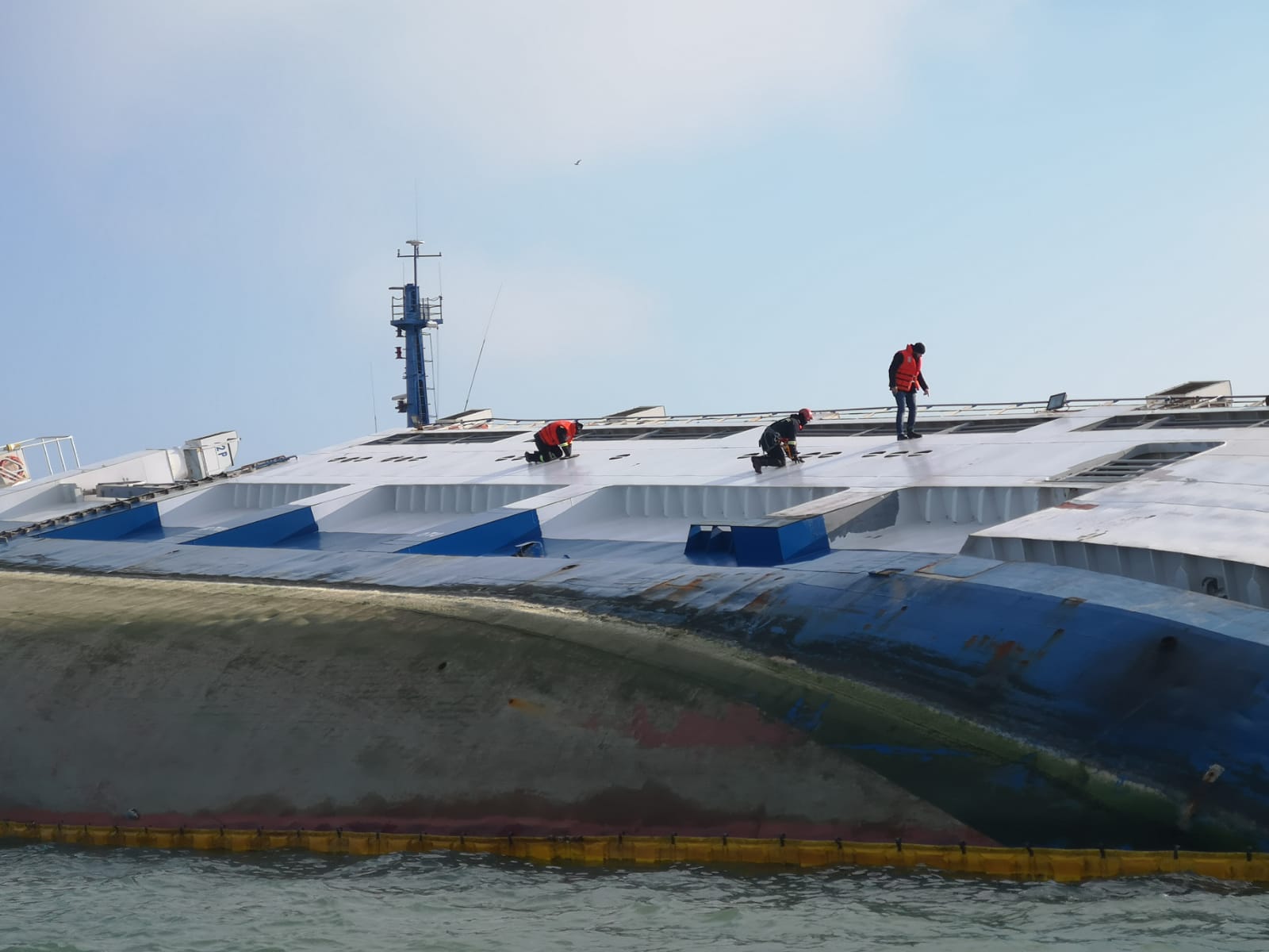 ANSVSA: Mai mulţi medici veterinari şi controale sporite în zona de transport maritim de animale din România