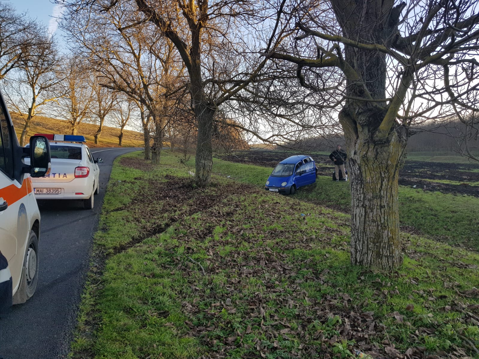 CONSTANȚA: O gravidă fără permis de conducere a intrat cu maşina într-un copac