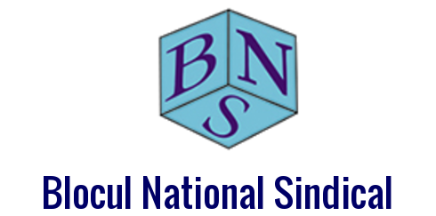 BNS protestează timp de două zile în faţa Curţii Constituţionale