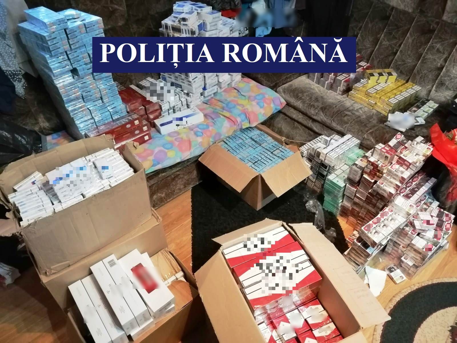 CONSTANȚA: 14 suspecţi de contrabandă cu ţigări, reţinuţi în urma a peste 60 de percheziţii domiciliare