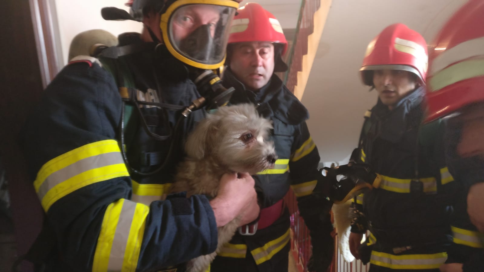 TULCEA/FOTO: Deflagrație urmată de un incendiu într-un apartament