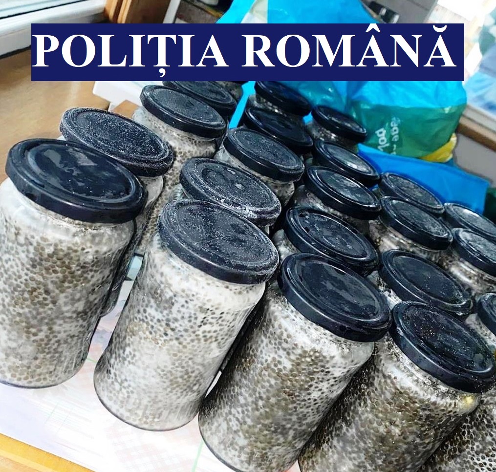 10 kilograme de icre negre confiscate de la contrabandiști. Un bărbat a fost reținut