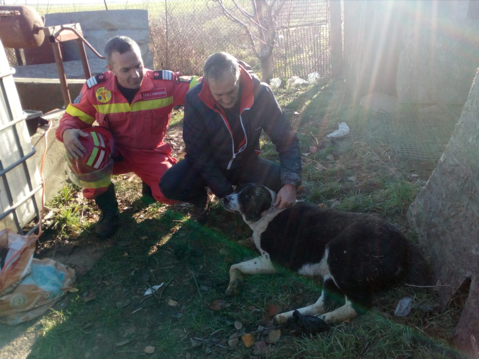 Câine salvat dintr-o fântână, la Techirghiol