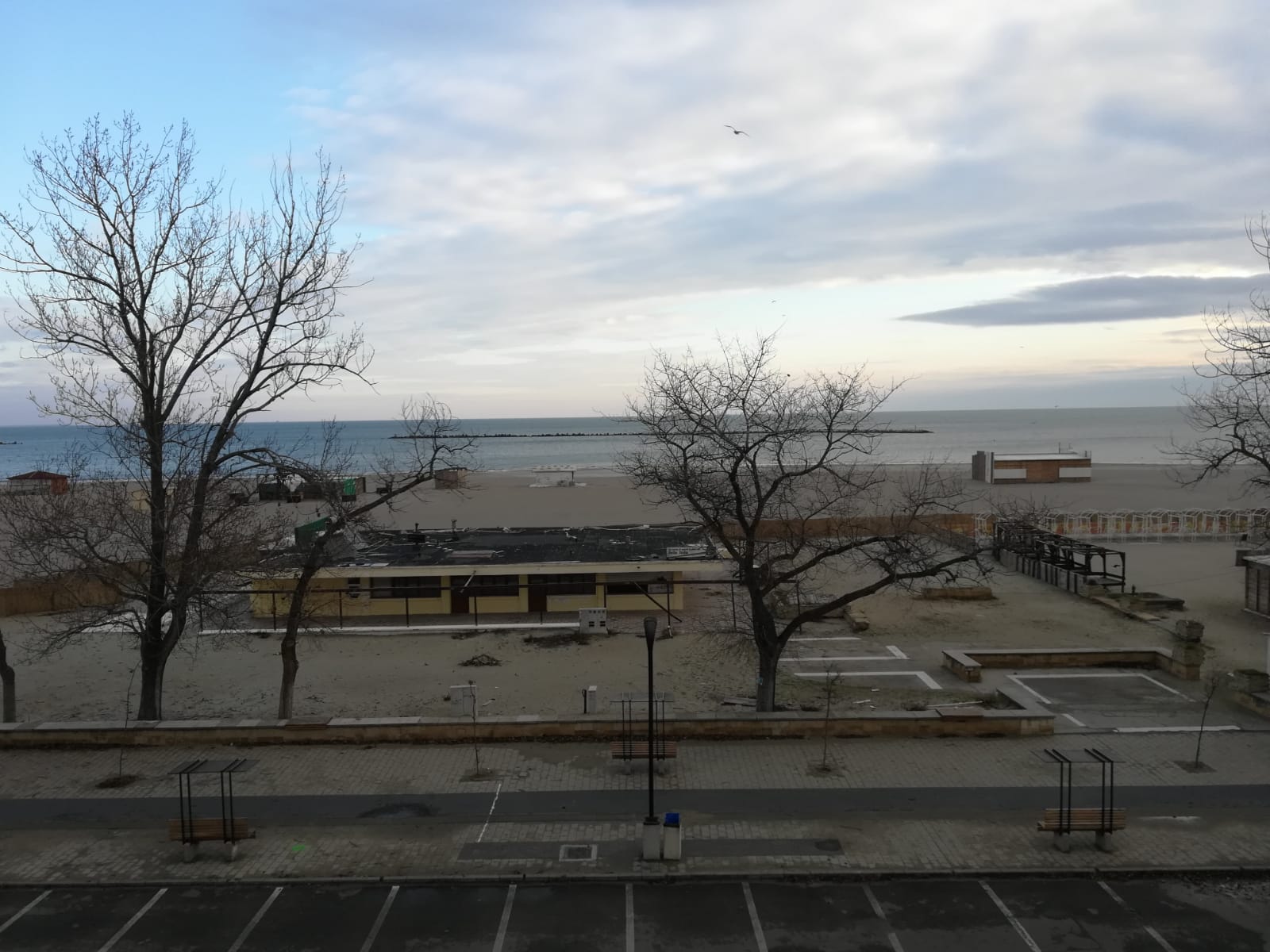 DOBROGEA. Anul începe cu vreme rece