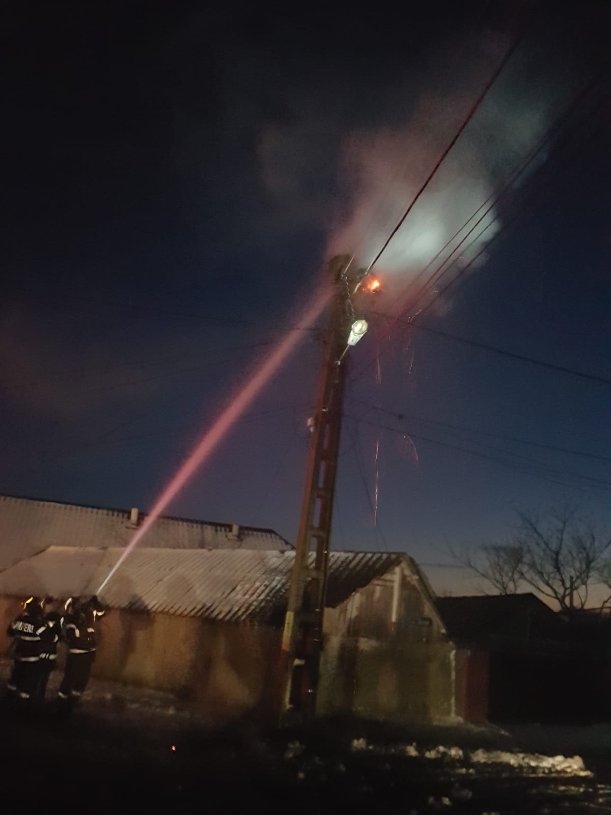 TULCEA/FOTO: Intervenţie a pompierilor pentru salvarea unui cuib de barză care a luat foc