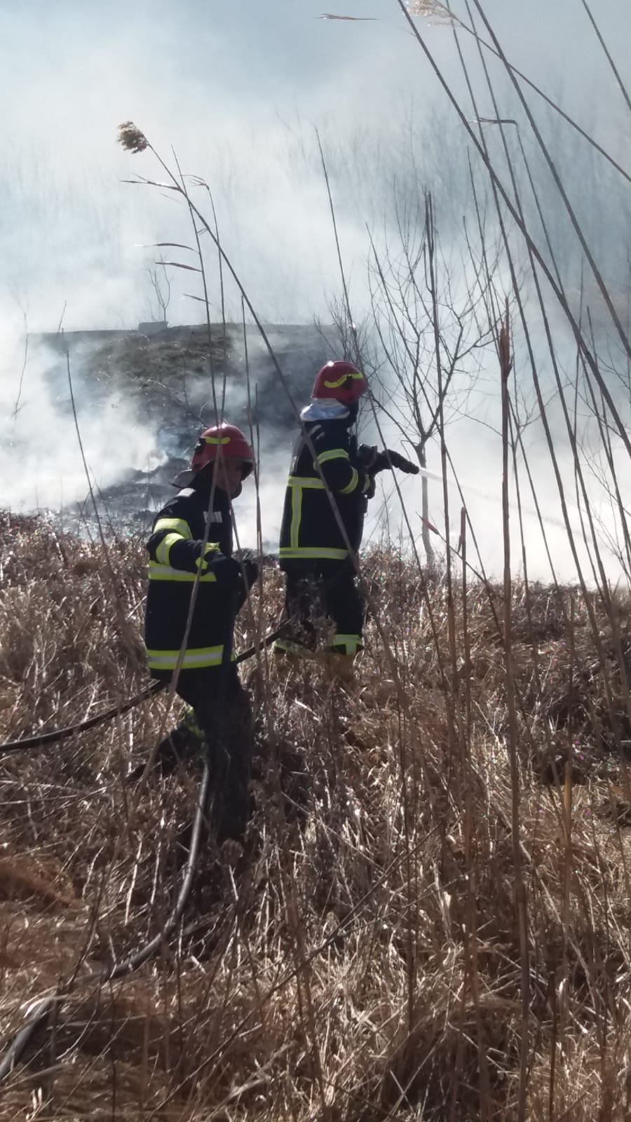 Incendiu puternic de vegetație, în apropiere de Vadu Oii!