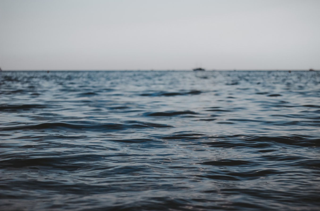 Midia Marine Terminal: Prioritatea absolută a tuturor părților implicate este recuperarea celor trei membri ai echipajului dispăruți. A fost selectat contractorul pentru ranfluarea remorcherului Astana