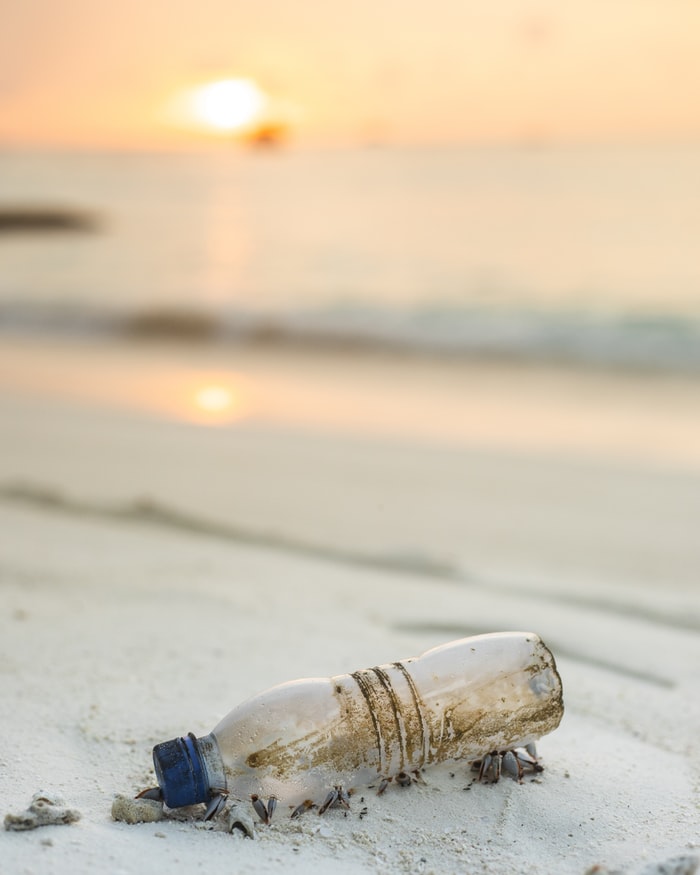 „Zero plastic în Delta Dunării”, un proiect implementat de WWF România