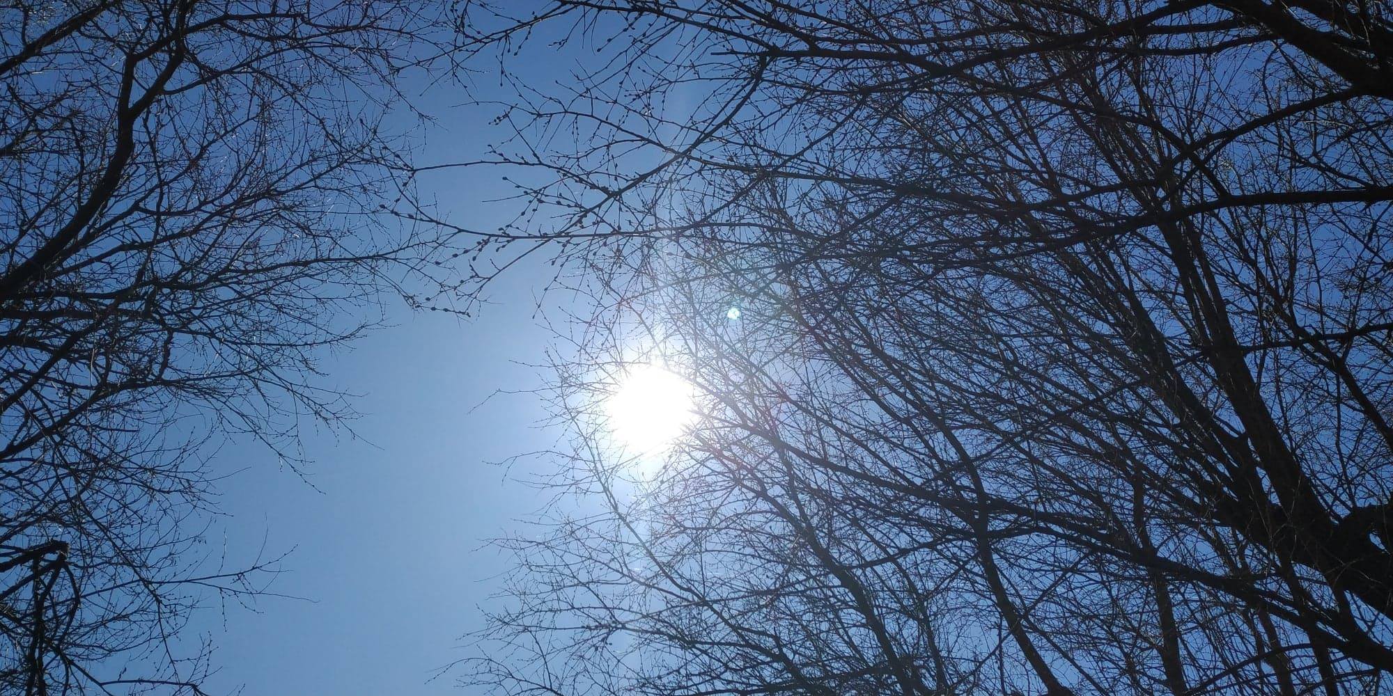 DOBROGEA. Vreme caldă, cu temperaturi de vară