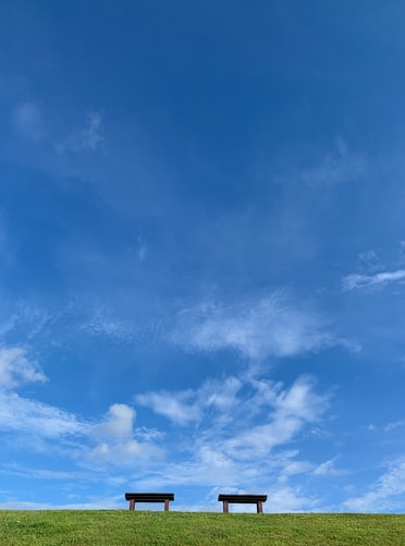 DOBROGEA. Vreme în încălzire ușoară