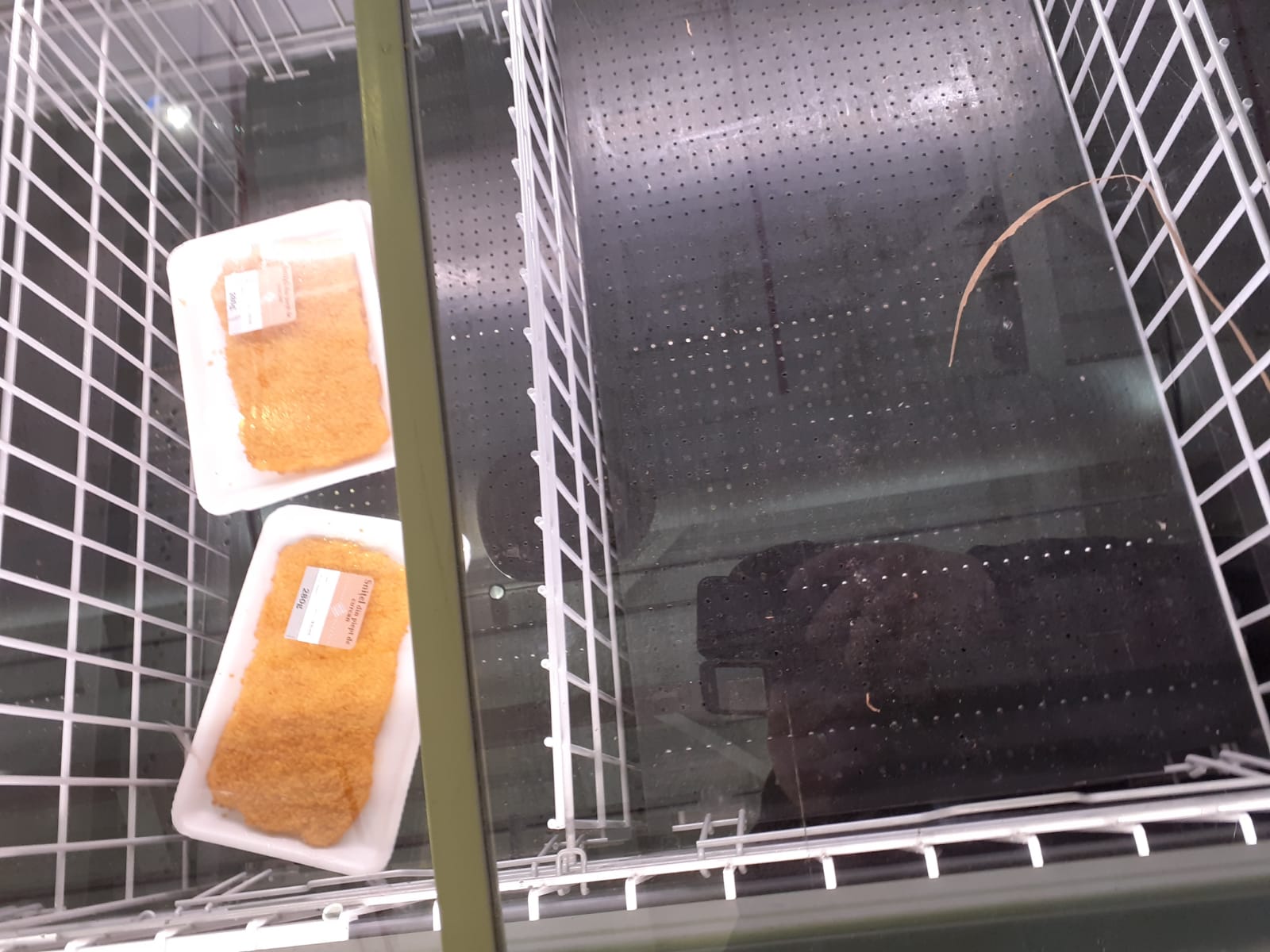 Ce spune președintele Federației Patronale din Industria Alimentară despre stocurile de alimente