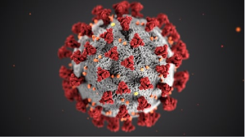565 cazuri noi de persoane infectate cu SARS – CoV – 2, în România. Situația la Constanța și Tulcea