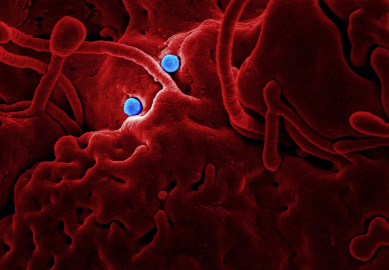 #CORONAVIRUS. Peste 270 de cazuri, la nivel național