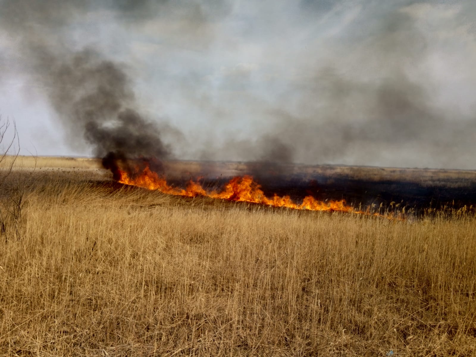 UPDATE – Incendiu puternic în județul Tulcea