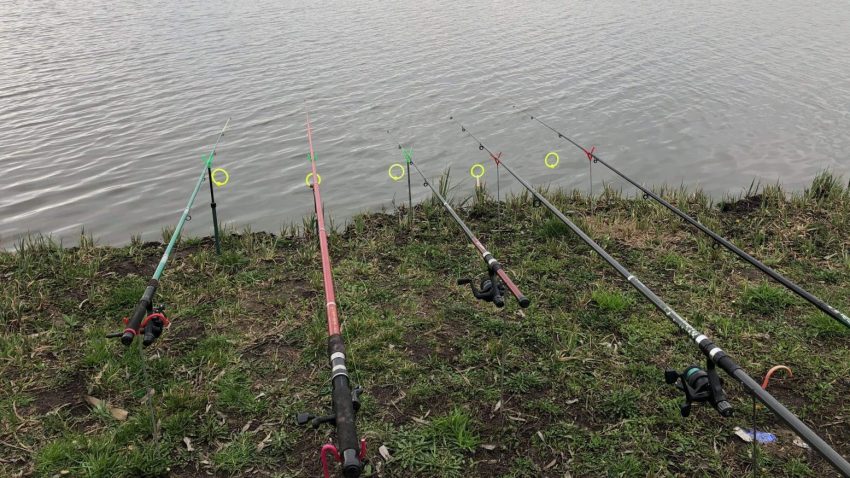 TULCEA: În perioada 1 – 31 mai, Lacul Ciuperca se redeschide pentru pescuit recreativ