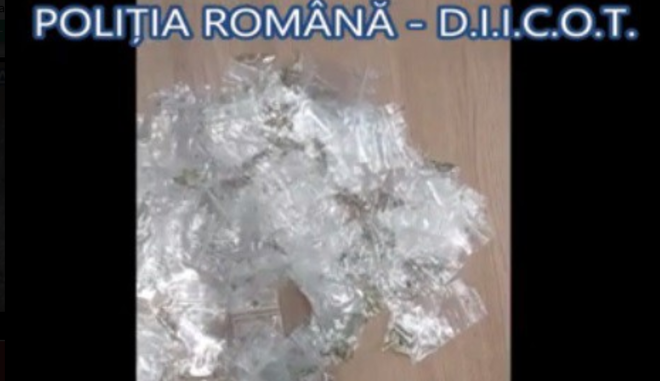 CONSTANȚA: Percheziții la persoane bănuite de trafic cu droguri. 8 persoane reținute