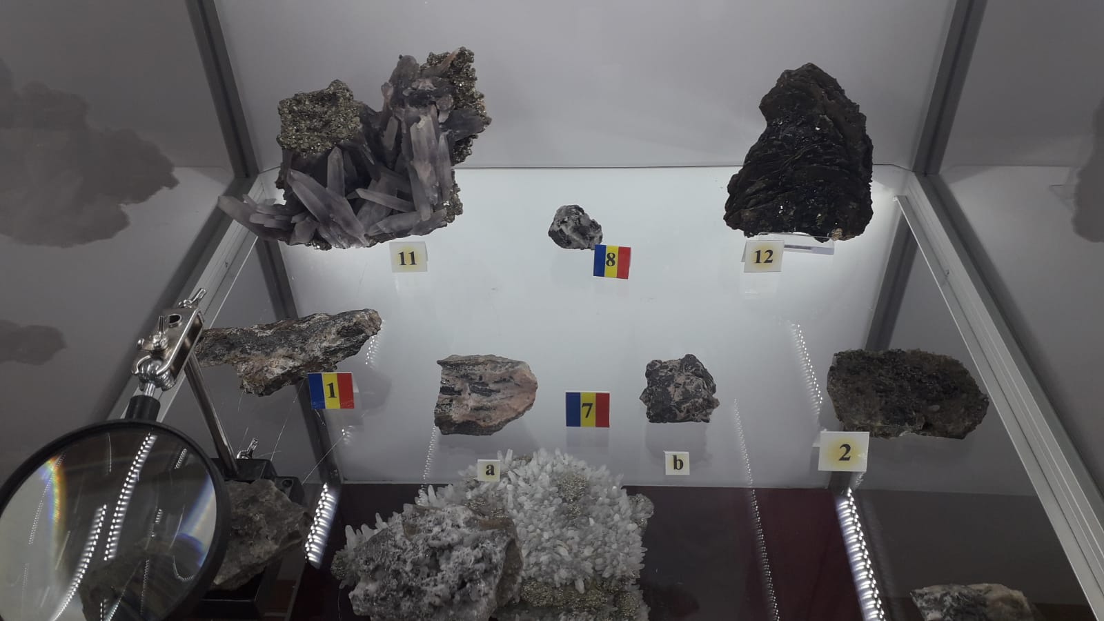 Expoziția itinerantă națională „Minerale și asociații minerale din România” la Muzeul de Istorie Națională și Arheologie Constanța