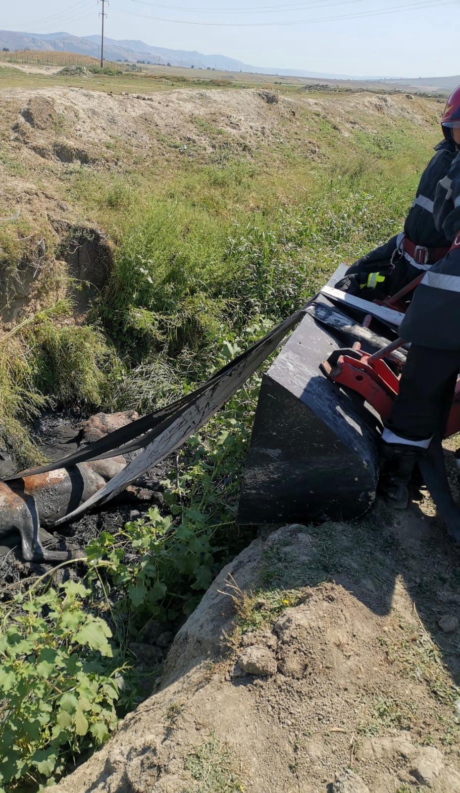 TULCEA: Un cal a fost salvat de pompieri dintr-un canal adânc de 3 metri