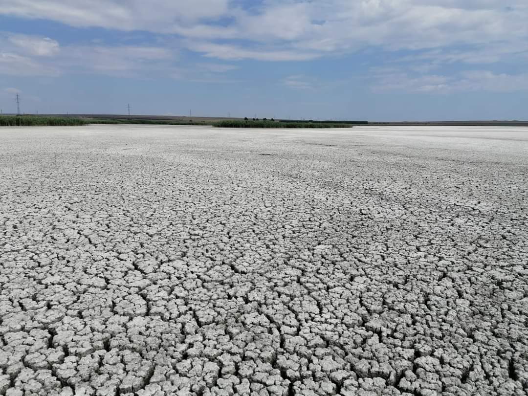 CONSTANȚA: Lacul Nuntași, un lac cu apă sărată, a secat
