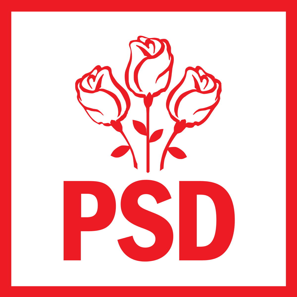 Partidul Social Democrat și-a anunțat, în această seară, candidații pentru Primăria și Consiliul Județean Constanța