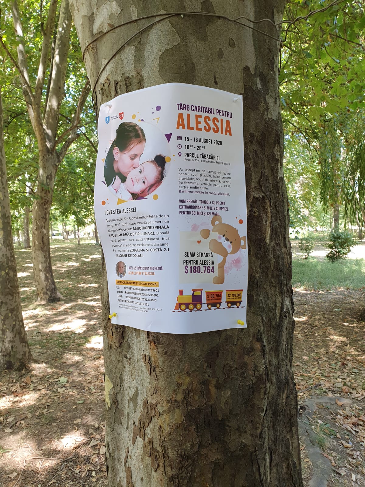 CONSTANȚA: Târg caritabil pentru Alessia