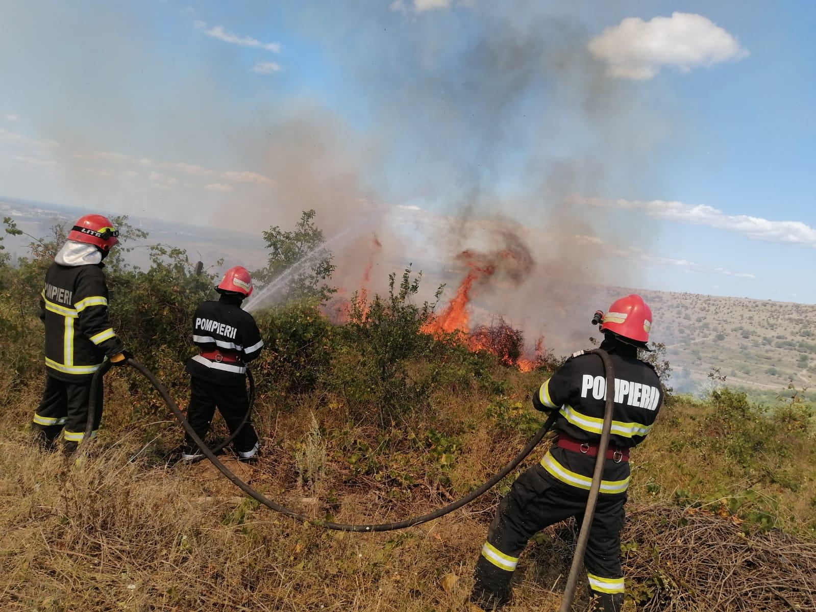 TULCEA: Circa 150 de hectare de vegetaţie uscată şi viţă-de-vie, distruse într-un incendiu