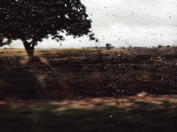 Vremea în Dobrogea și pe litoral se va răci și va fi predominant închisă