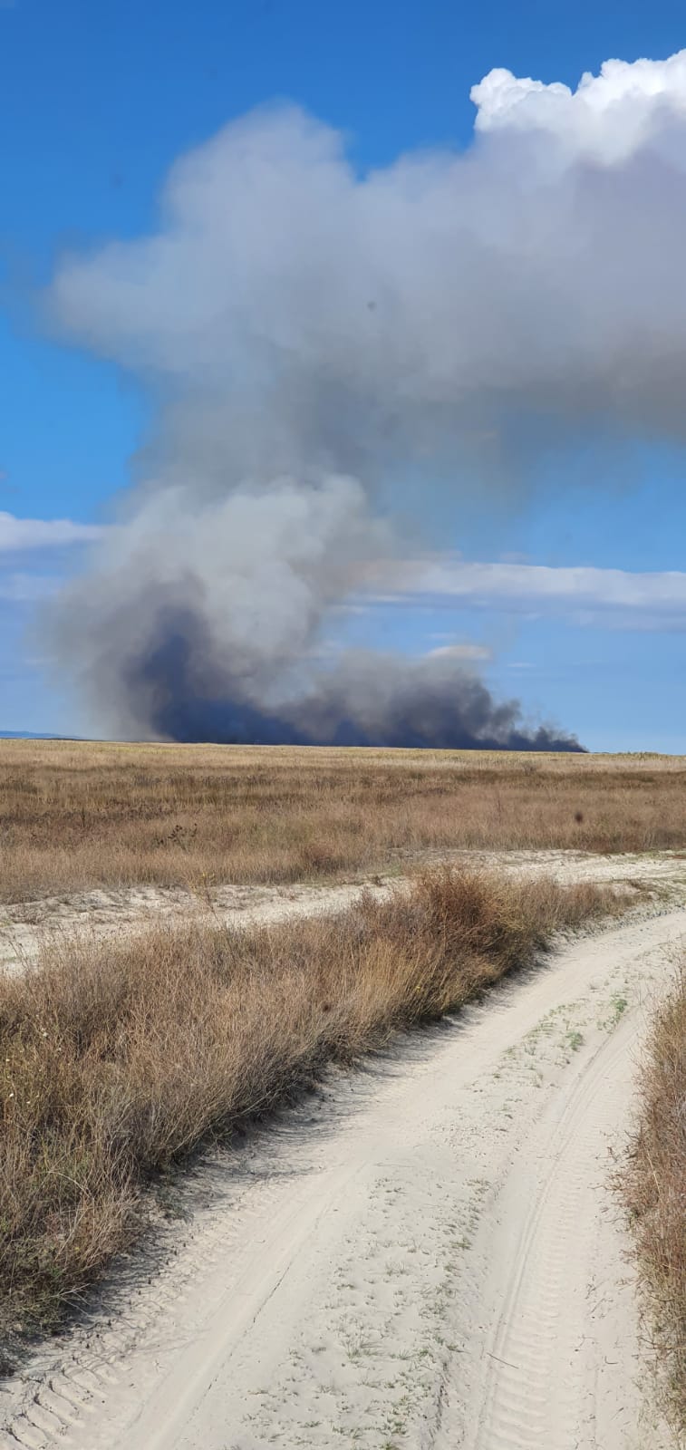 Incendiul izbucnit în zona Vadu – Grindul Chituc a fost stins după 18 ore