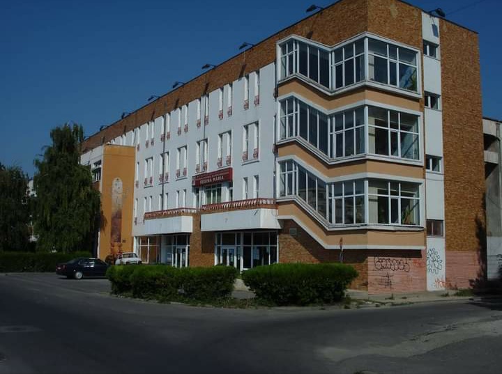 CONSTANŢA: Premiile elevilor Colegiului Național de Arte ,,Regina Maria”, în competiții artistice online