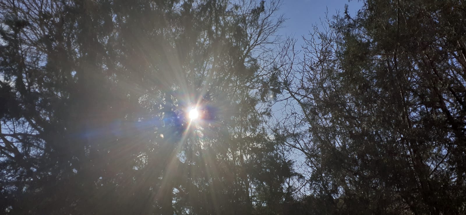 Anul Nou începe cu temperaturi ridicate în Dobrogea