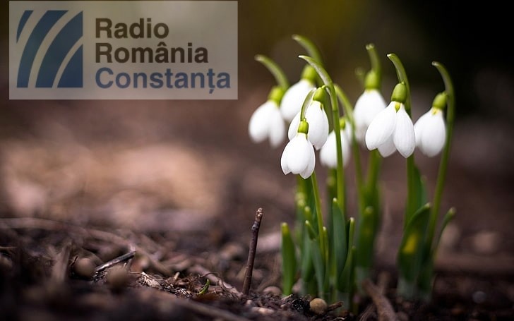 Prima zi de primăvară vine cu vreme mohorâtă în Dobrogea