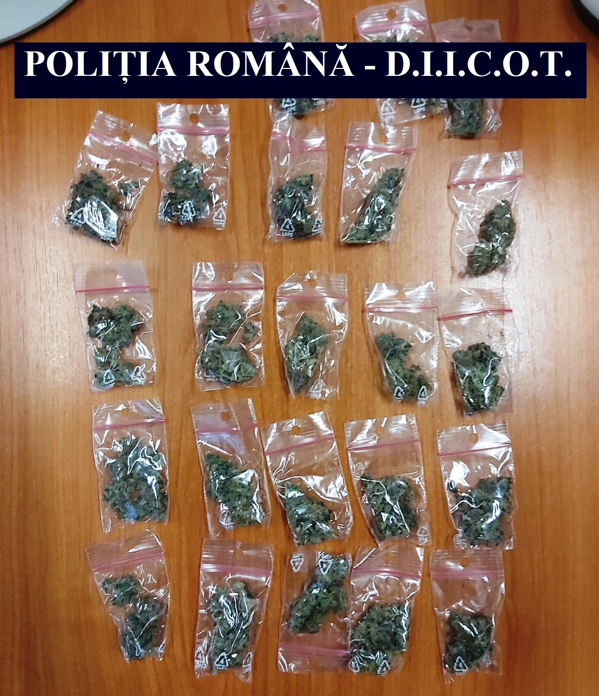 MEDGIDIA/CONSTANȚA: Percheziții într-un dosar de trafic de droguri