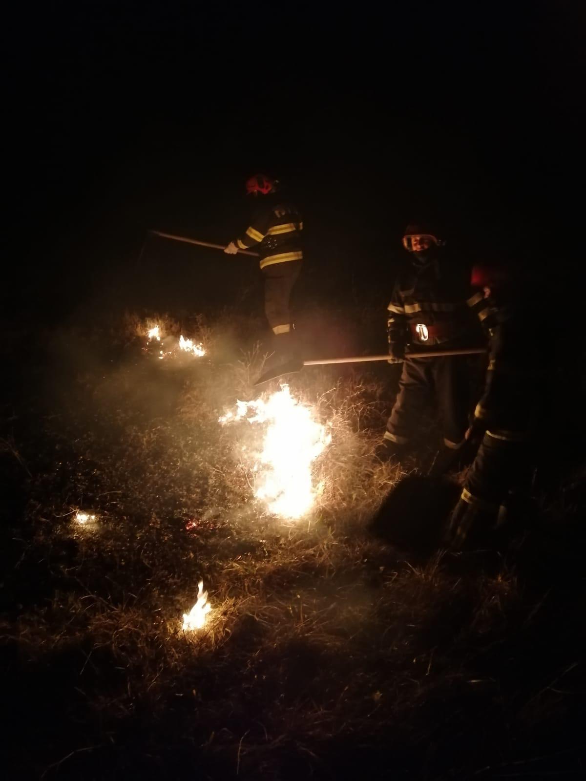 TULCEA: Aproximativ cinci hectare de vegetaţie uscată şi stuf, afectate de un incendiu