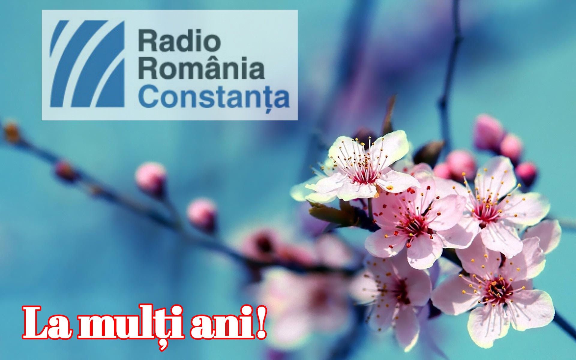 8 Martie, Ziua Internațională a Femeii