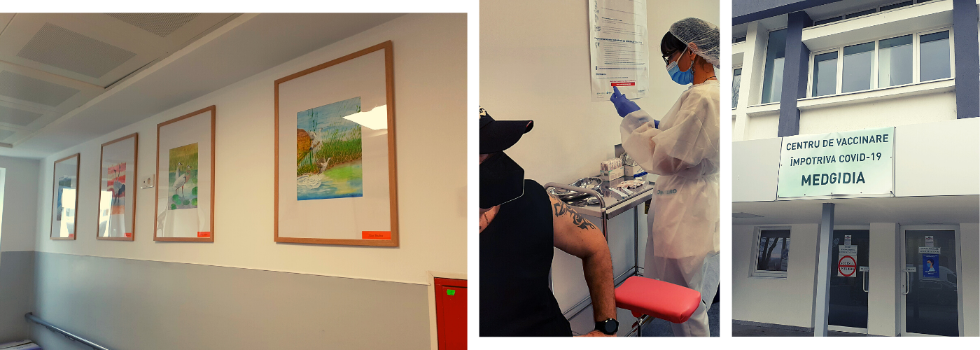 INEDIT | Expoziţie de artă, la Centrul de Vaccinare din Medgidia: „Am vrut să creăm o atmosferă mai caldă, mai primitoare, în care oamenii să mai uite de emoțiile pe care le au“ FOTO