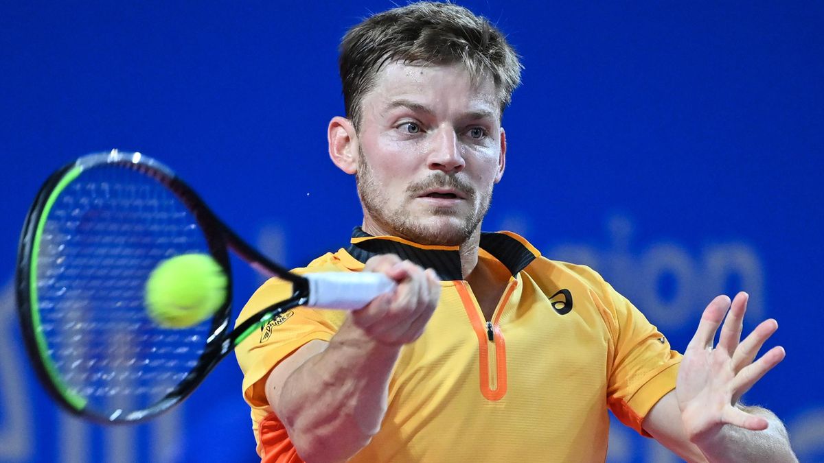 Belgianul David Goffin este câștigătorul turneului de la Montpellier