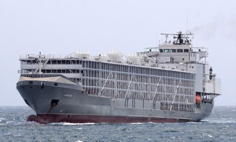Cele 11 nave cu animalele exportate din România se află în drum spre destinaţie