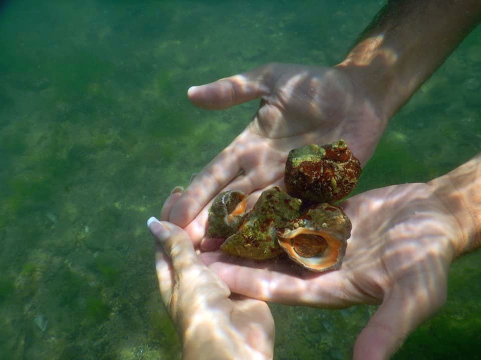 3 martie, Ziua Internațională a Faunei Sălbatice
