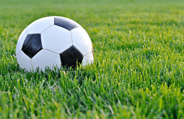 Cluburile din Liga I ar putea fi sancționate pentru neîntreținerea gazonului pe teren