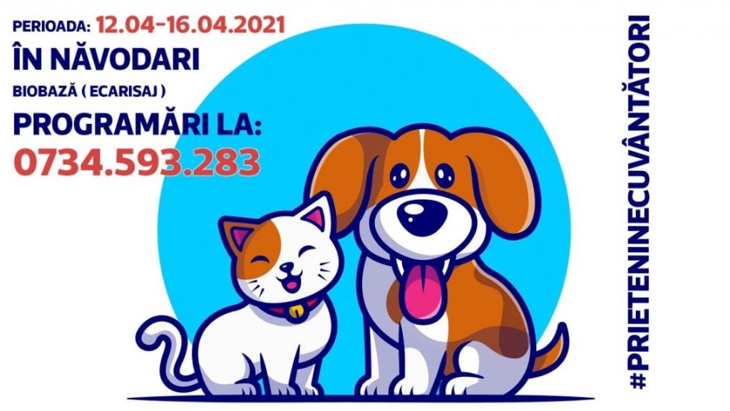 NĂVODARI: Campanie gratuită de sterilizare a câinilor și pisicilor