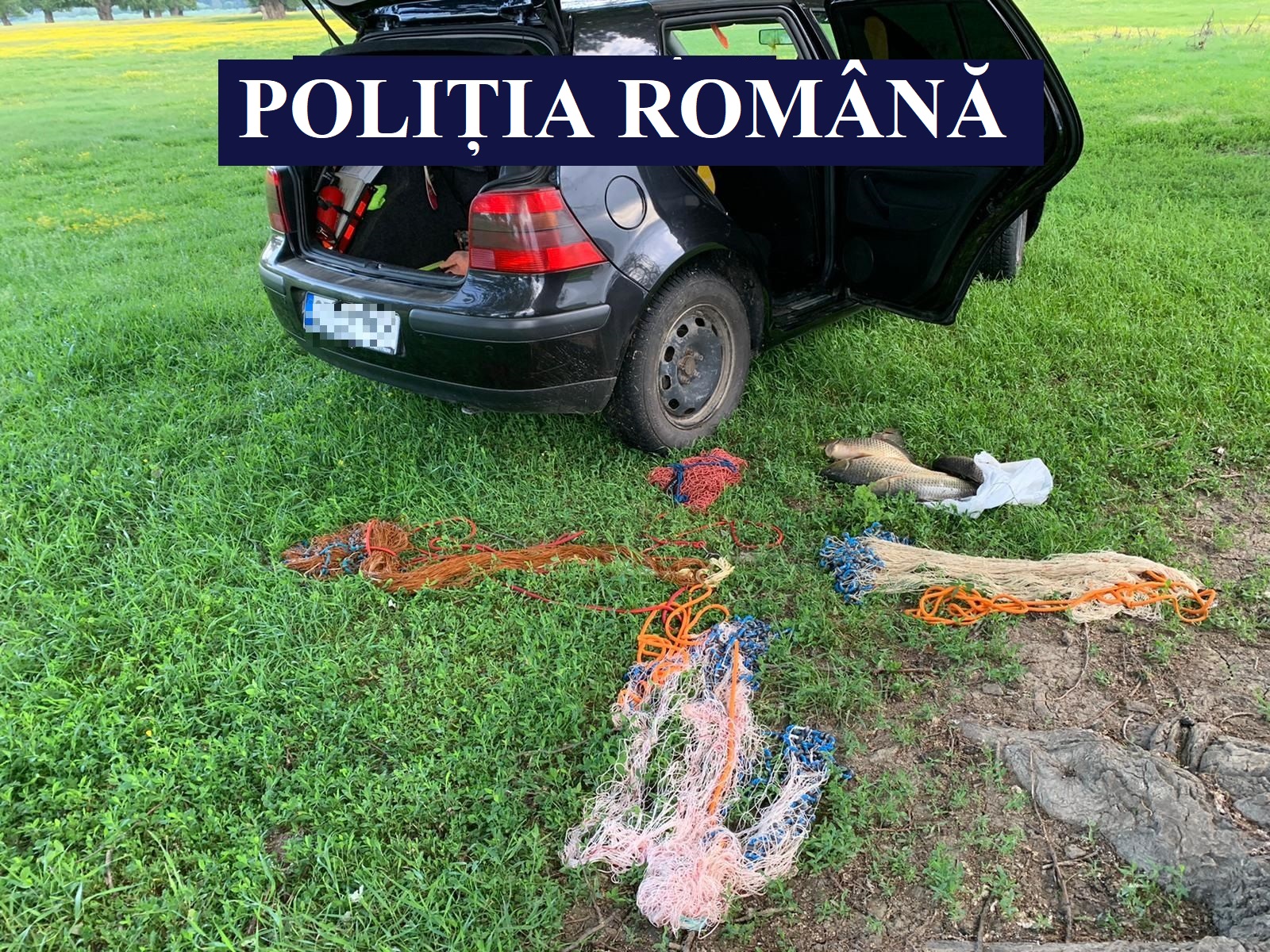 CONSTANŢA: 15 braconieri piscicoli cercetaţi de poliţişti, 11 autoturisme şi ambarcaţiuni – confiscate