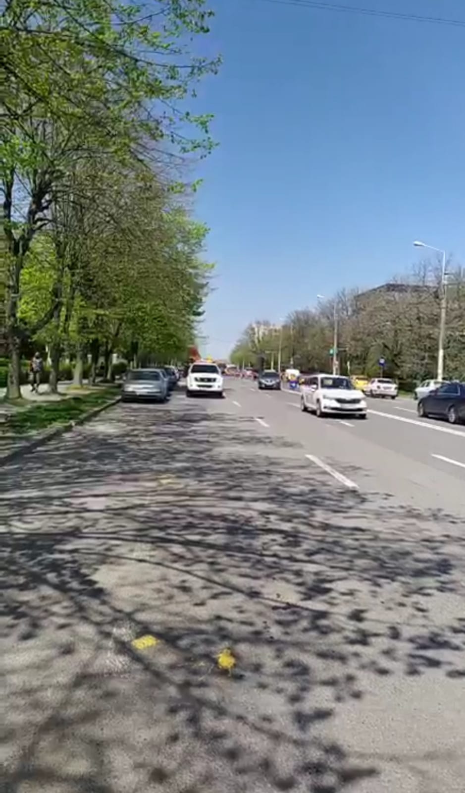 Primăria Constanţa a început dezinsecţia în oraş
