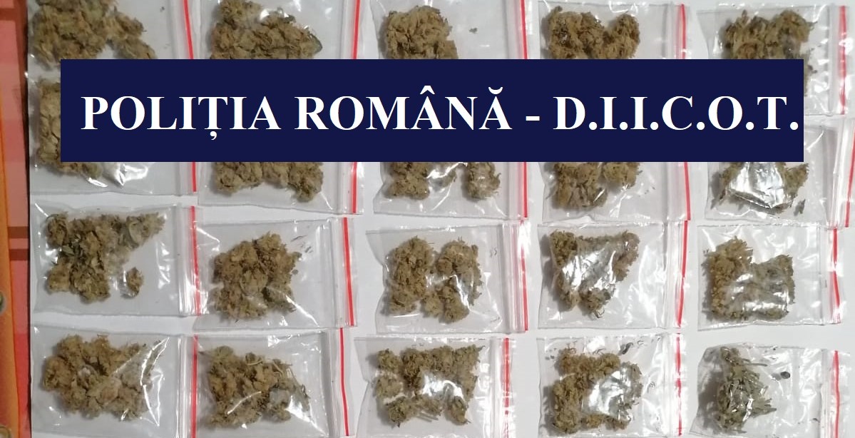 Percheziţii domiciliare în Agigea şi Mangalia, la suspecţi de trafic de droguri