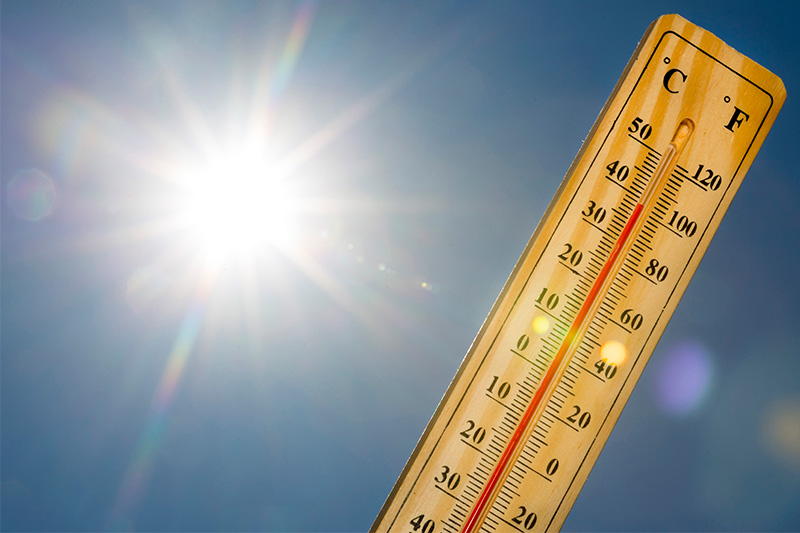 Vreme deosebit de caldă în Dobrogea