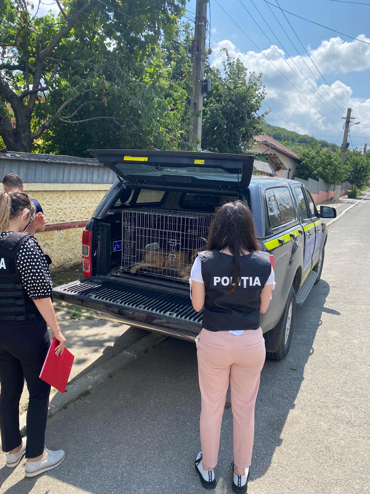 TULCEA: Poliţia Animalelor a intervenit într-un caz semnalat pe reţelele de socializare