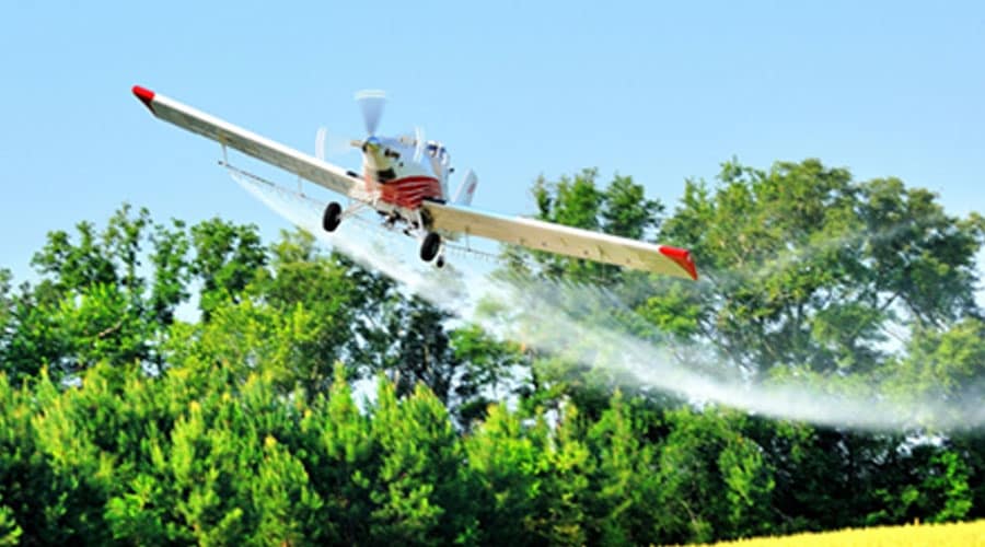 Primăria Constanța intensifică acțiunile de dezinsecție prin aplicarea de tratamente aviochimice