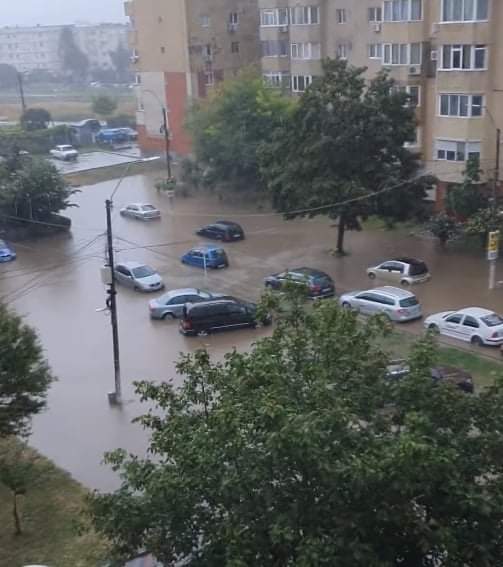 Județul CONSTANȚA: Efectele codului galben – gospodării și case inundate, copaci rupți, animale salvate