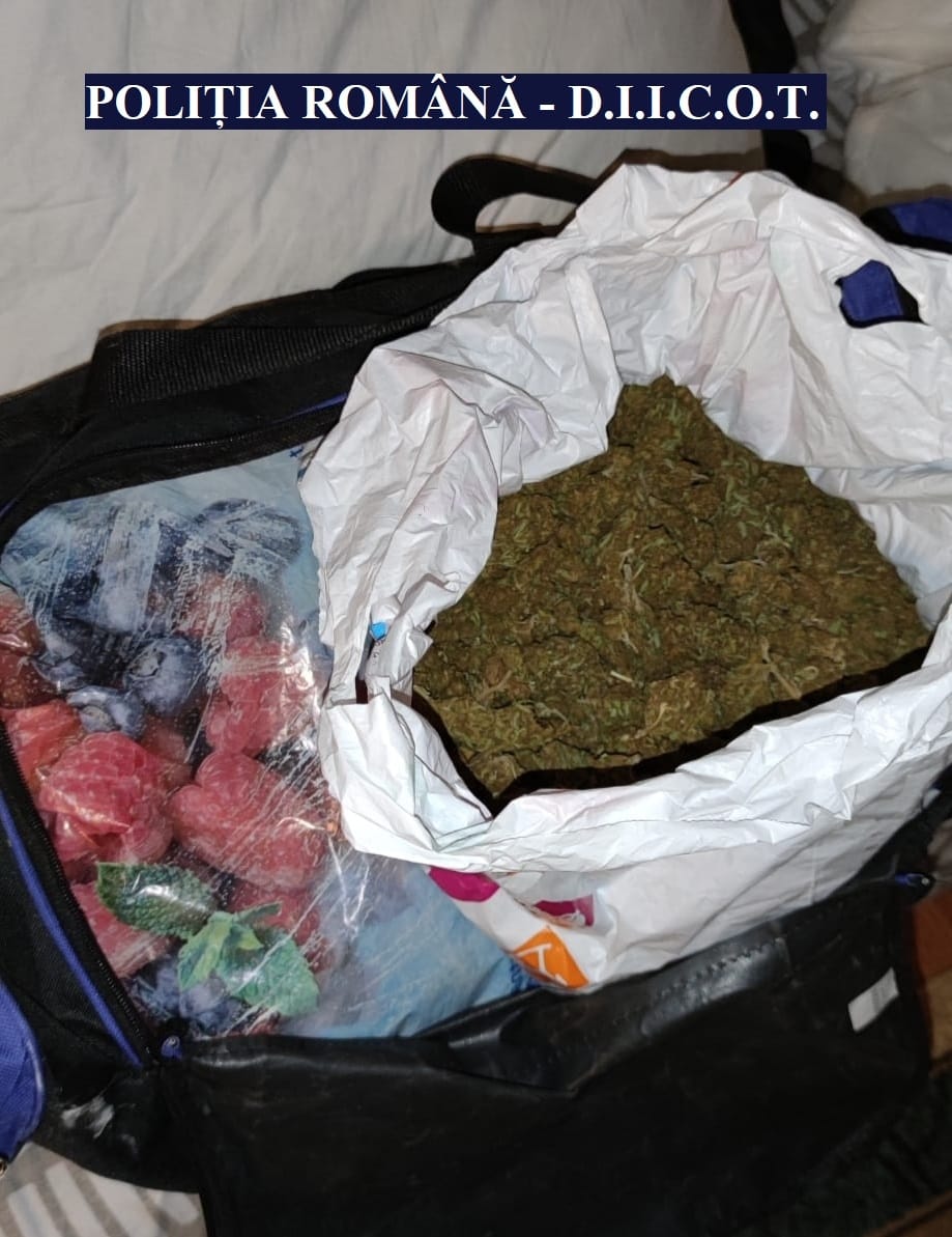 NĂVODARI: Tânăr reținut pentru trafic de droguri. 4 kilograme de cannabis descoperite la percheziție